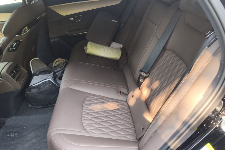 BYD Han 2024 car image #19