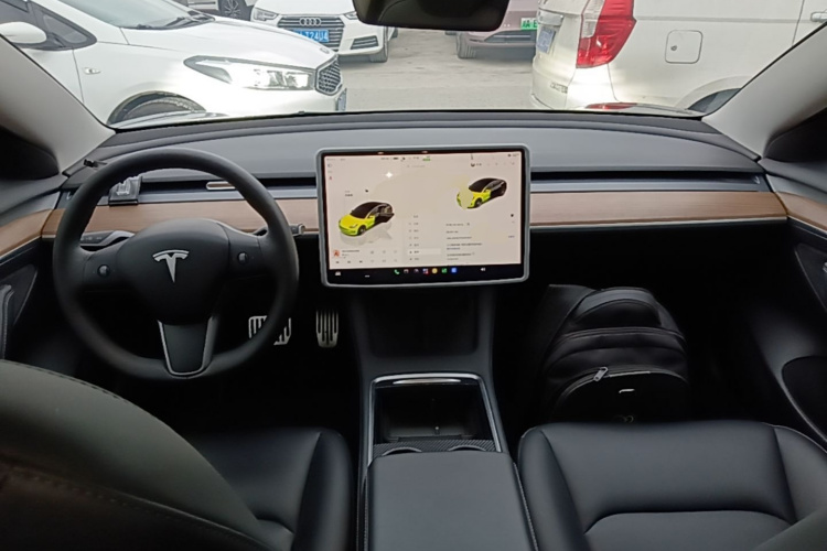 Tesla Model 3 2022 изображение автомобиля #11