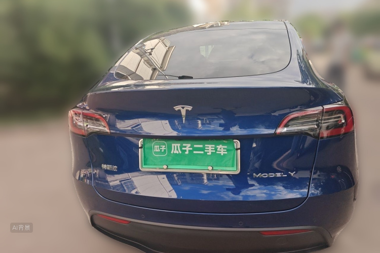 Tesla Model Y 2023 car image #6
