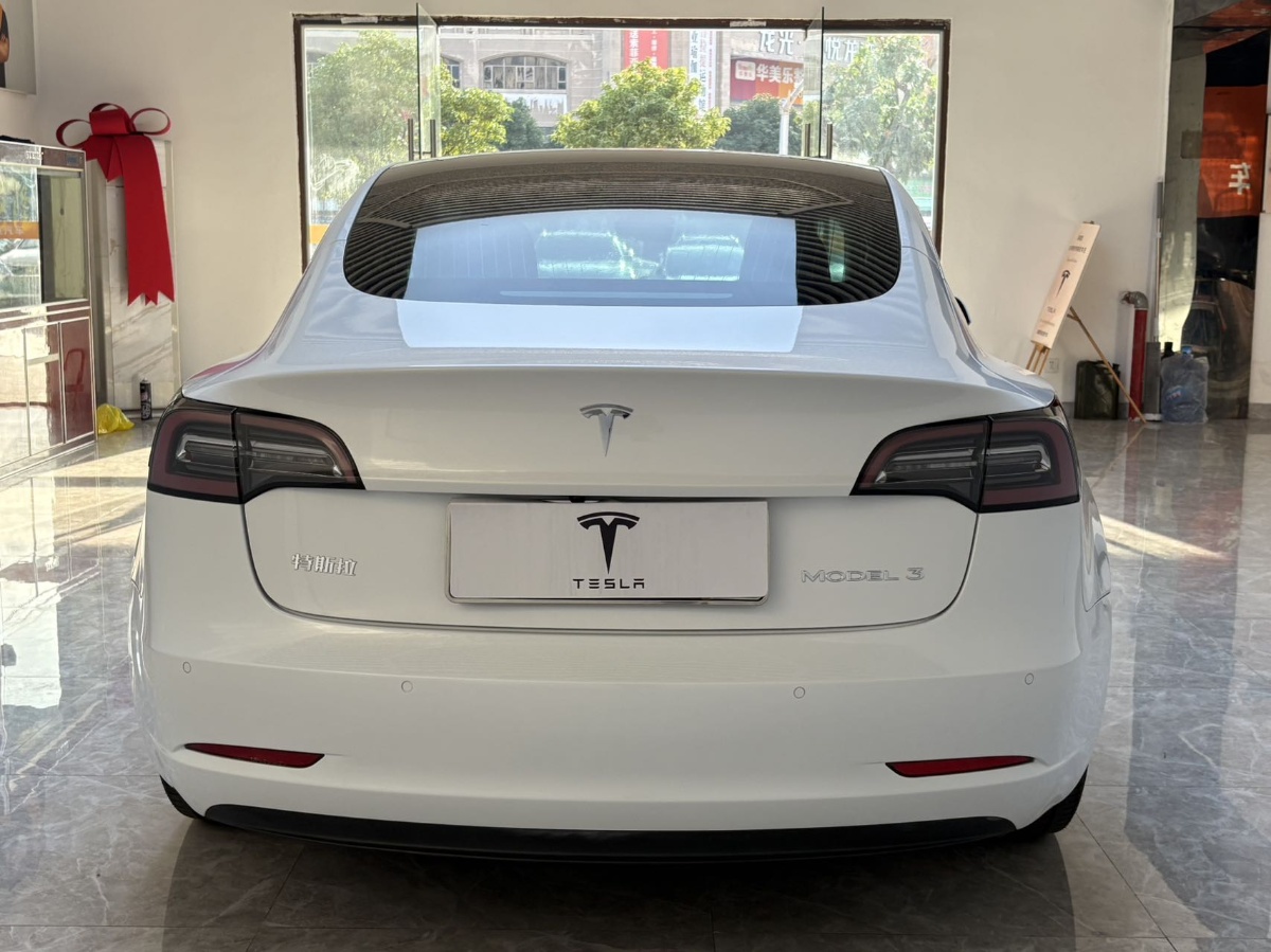 Tesla Model 3 2020 #8 Tesla Model 3 2020 car image #8