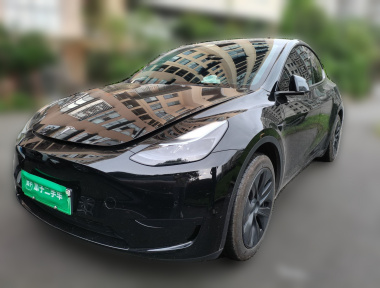 Tesla Model Y 2023 Tesla Model Y 2023 car image