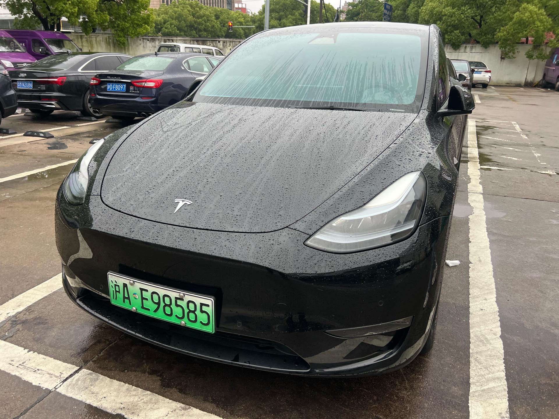 Tesla Model Y 2023 Tesla Model Y 2023 car image