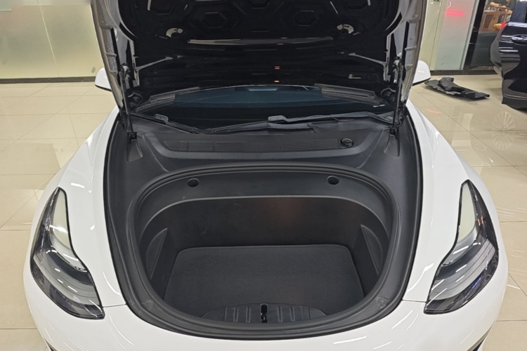Tesla Model 3 2021 #20 Tesla Model 3 2021 car image #20