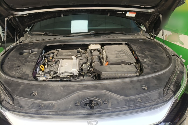 BYD Han 2024 car image #22