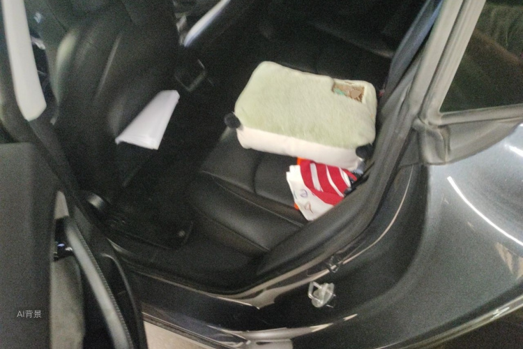 Tesla Model 3 2020 car image #19