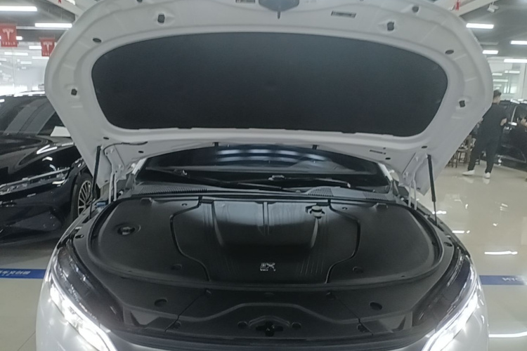 比亚迪 汉 2023 汽车图片 #22