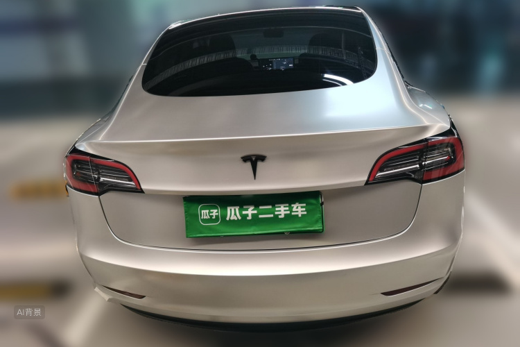 Tesla Model 3 2021 car image #6