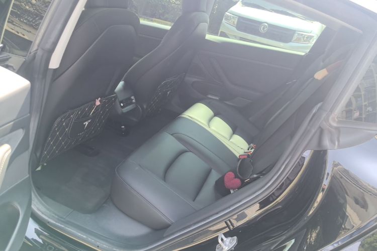 Tesla Model 3 2020 car image #17