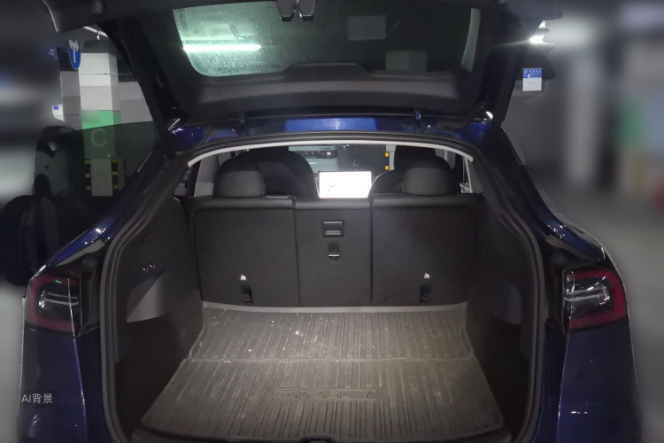 Tesla Model Y 2021 car image #21