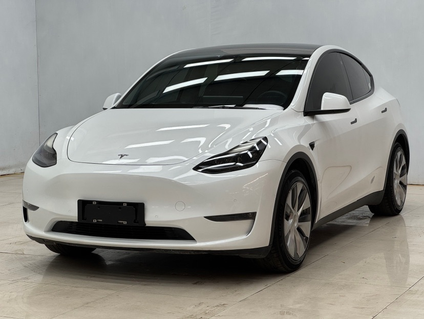 Tesla Model Y 2021 Tesla Model Y 2021 car image