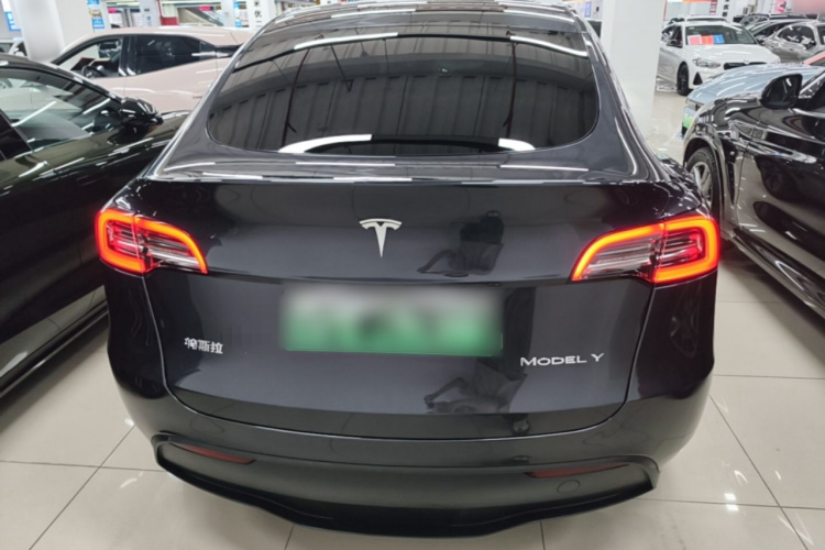 Tesla Model Y 2024 car image #6