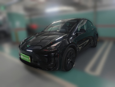 Tesla Model Y 2023 Tesla Model Y 2023 car image