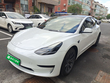 Tesla Model 3 2021 car image 