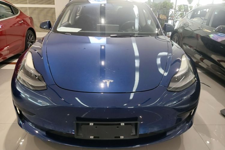 Tesla Model 3 2021 #3 Tesla Model 3 2021 car image #3