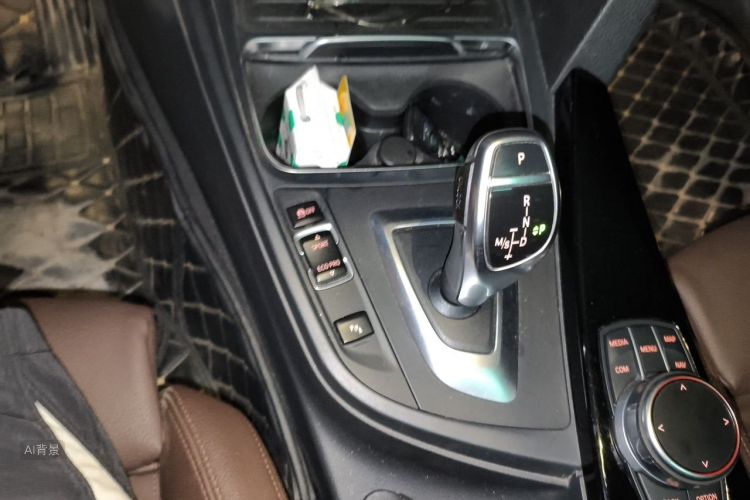 BMW 3 Series 2019 car image #16