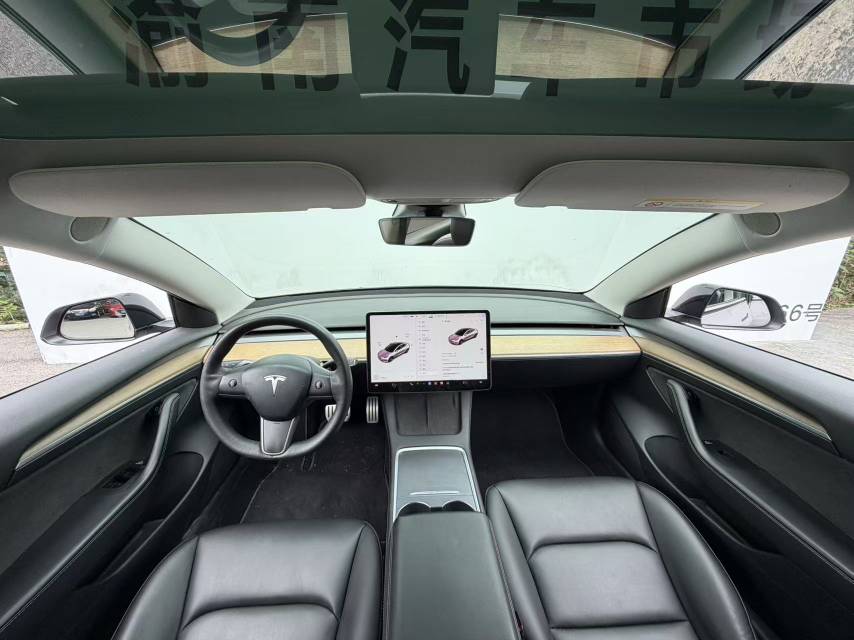 Tesla Model 3 2021 imagem de carro #6