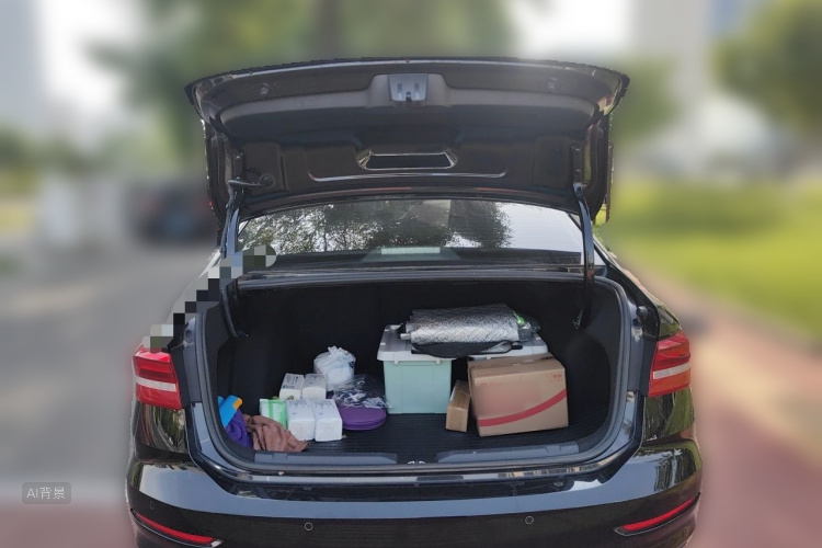 Volkswagen Lavida 2019 car image #21