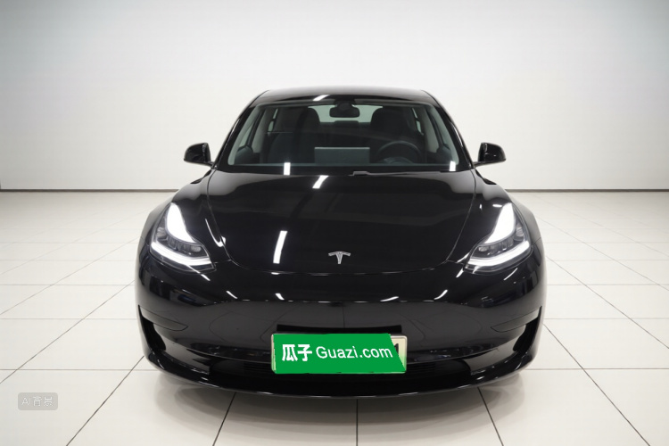 Tesla Model 3 2020 car image #3