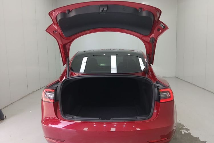 Tesla Model 3 2021 #21 Tesla Model 3 2021 car image #21