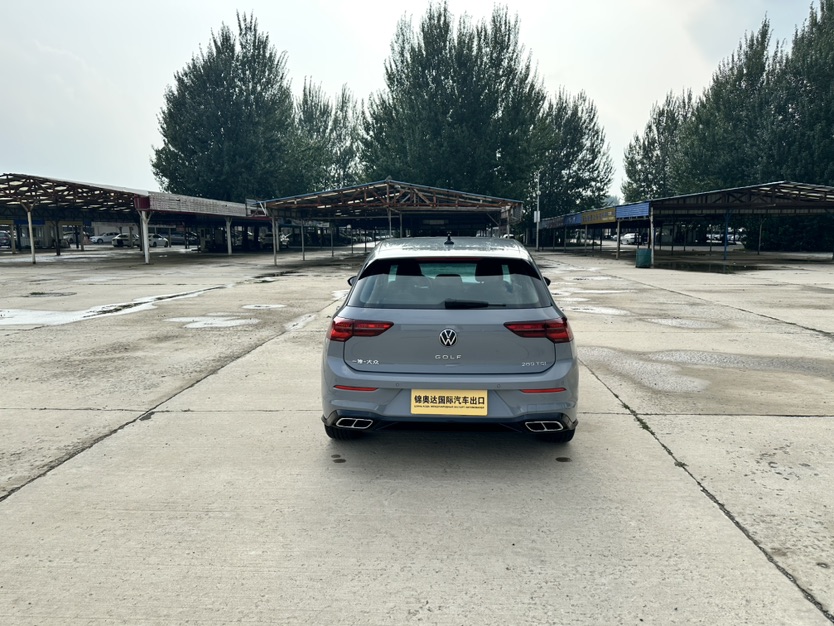 Volkswagen Golf 2022 immagine di auto #6