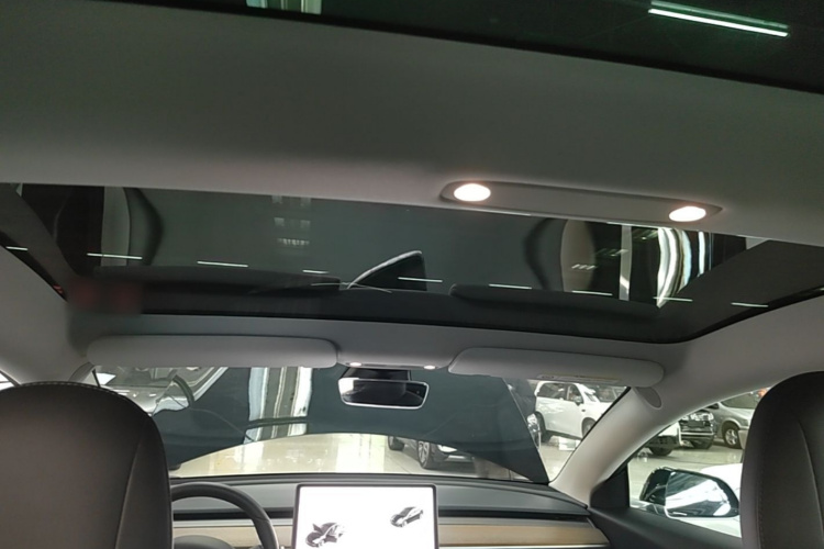 Tesla Model 3 2020 imagem de carro #20