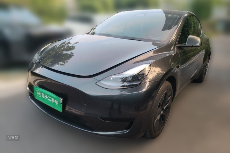 Tesla Model Y 2024 car image #2