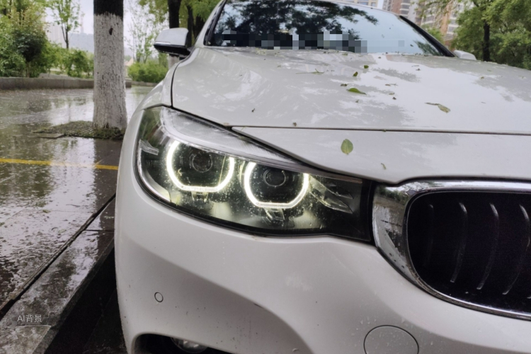 BMW 3 Series GT 2020 car image #8