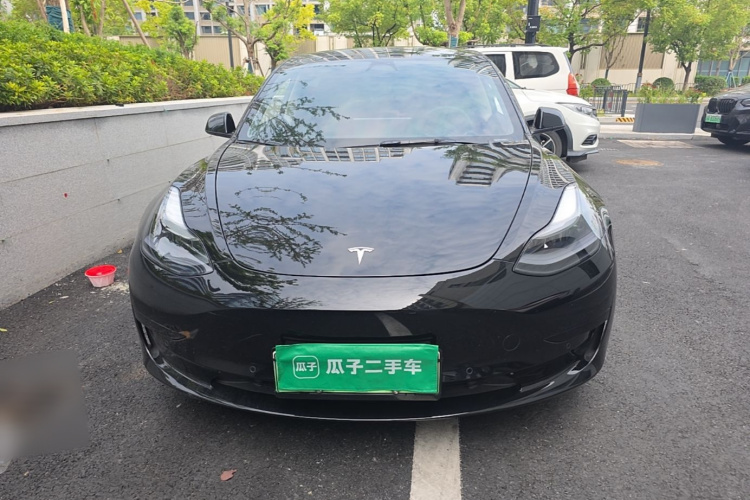 Tesla Model 3 2021 #3 Tesla Model 3 2021 car image #3
