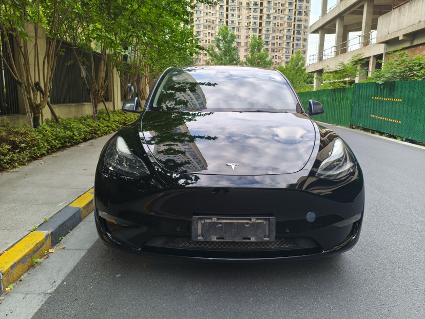 Tesla Model Y 2021 #2 Tesla Model Y 2021 car image #2