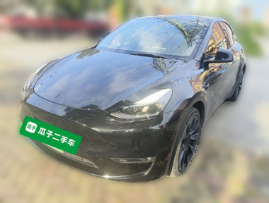 Tesla Model Y 2022 Tesla Model Y 2022 car image