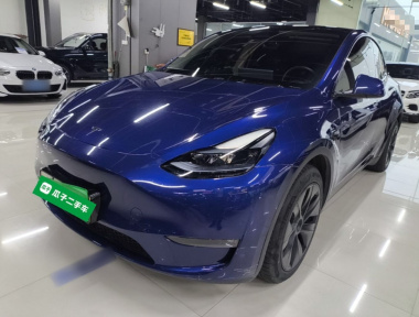 Tesla Model Y 2024 Tesla Model Y 2024 car image