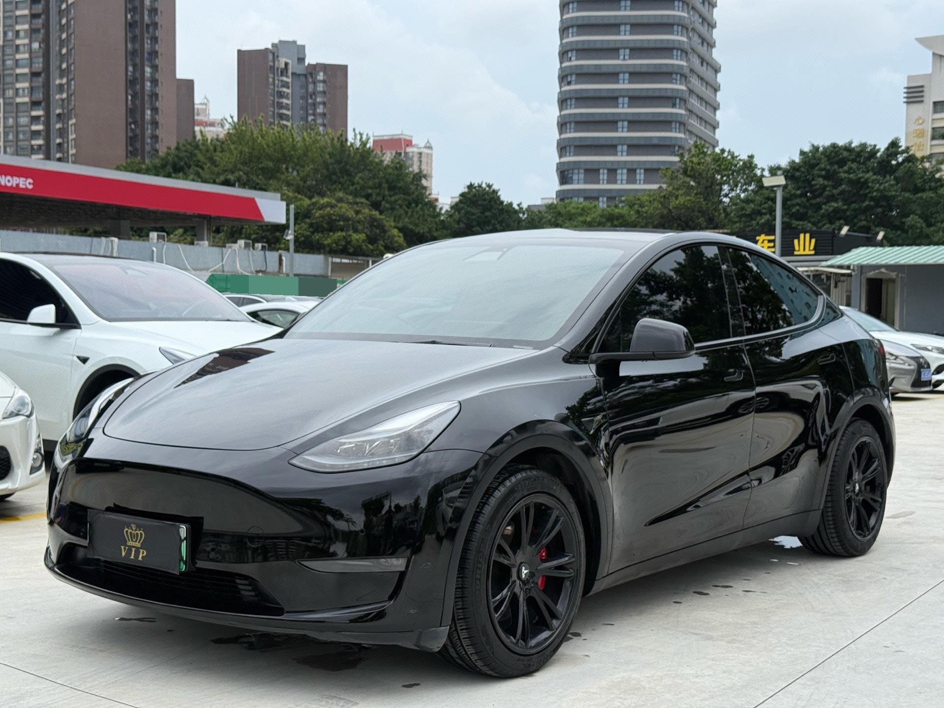 Tesla Model Y 2021 car image 