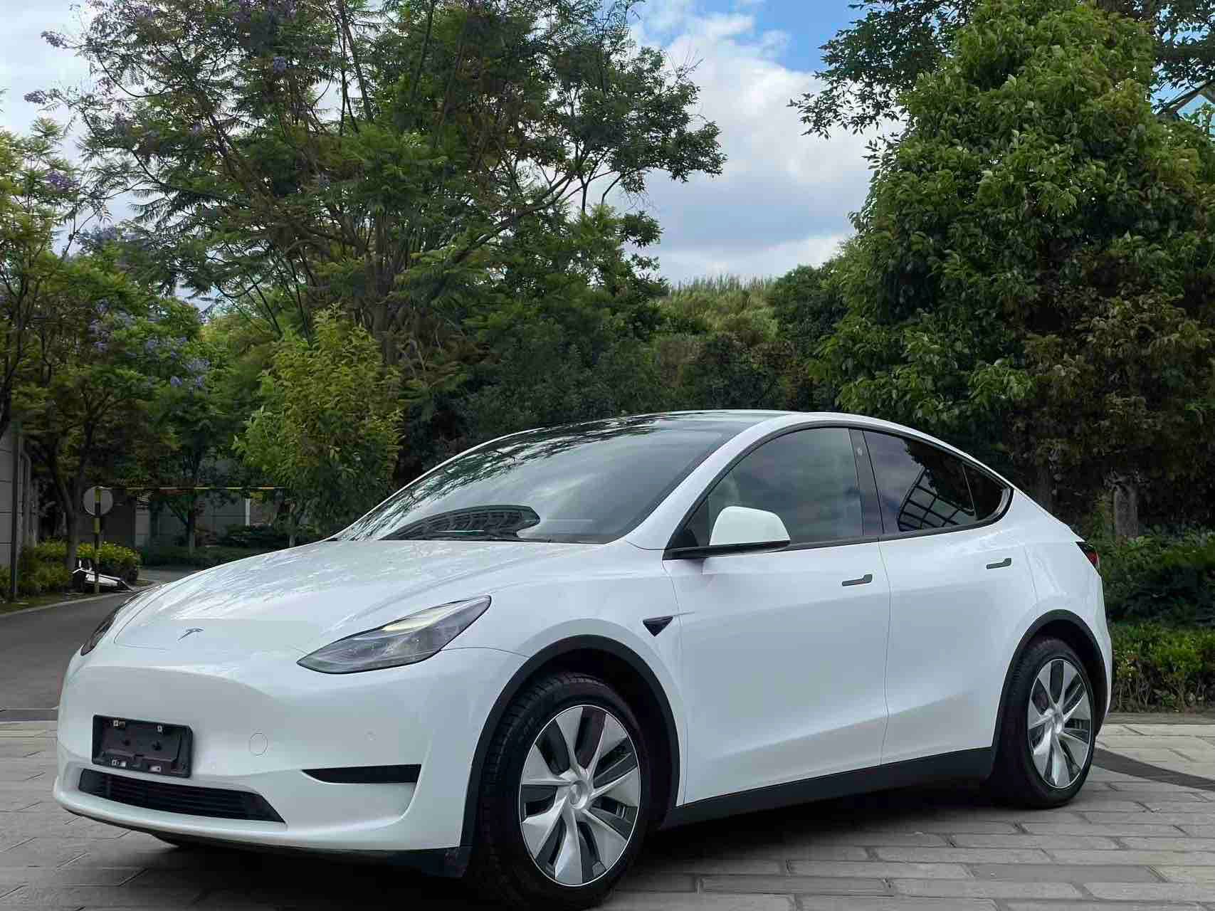 Tesla Model Y 2023 Tesla Model Y 2023 car image