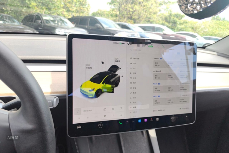 Tesla Model Y 2021 car image #13