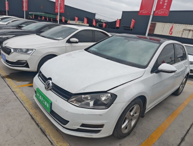Volkswagen Golf 2016 car image 