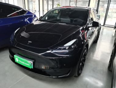 Tesla Model Y 2022 car image 
