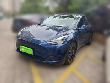 Tesla Model Y 2021 Tesla Model Y 2021 car image