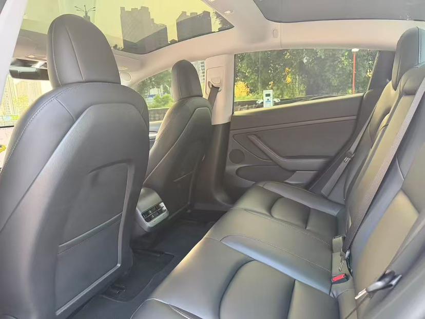 Tesla Model 3 2021 car image #4