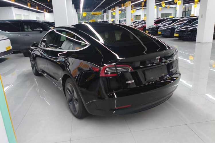 Tesla Model 3 2020 car image #7