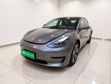 Tesla Model 3 2022 Tesla Model 3 2022 car image