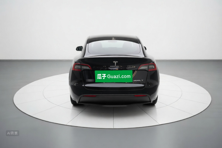 Tesla Model Y 2023 car image #6