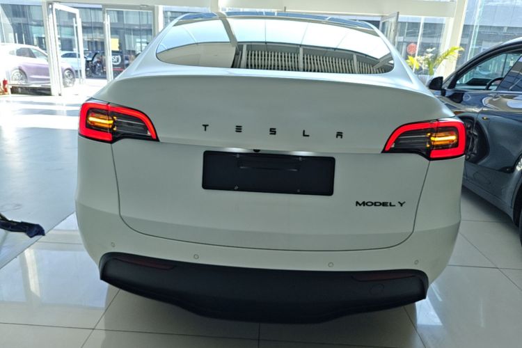 Tesla Model Y 2023 #6 Tesla Model Y 2023 car image #6