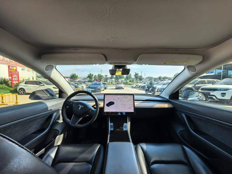 Tesla Model 3 2020 car image #6