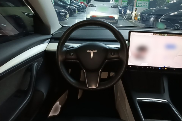 Tesla Model 3 2022 car image #11