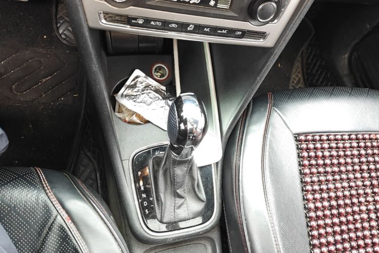 Volkswagen Polo 2015 car image #14