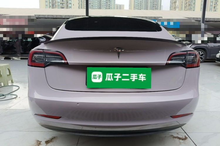Tesla Model 3 2021 imagem de carro #6