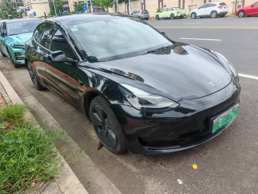 Tesla Model 3 2021 imagem de carro #4