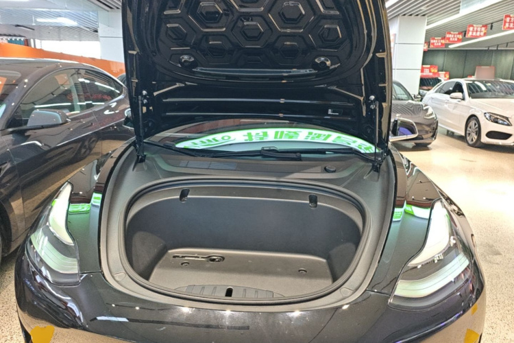 Tesla Model 3 2020 #20 Tesla Model 3 2020 car image #20