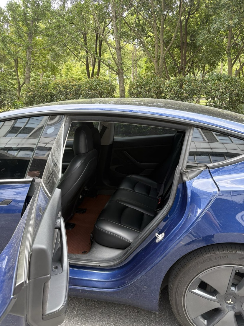Tesla Model 3 2021 #3 Tesla Model 3 2021 car image #3
