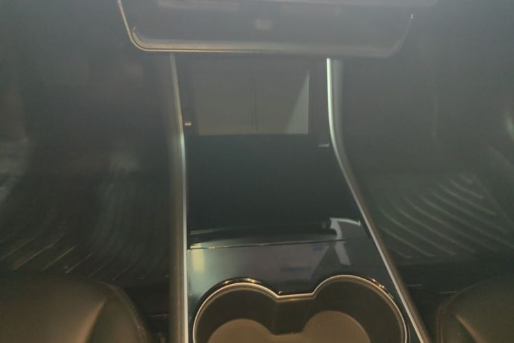 Tesla Model 3 2020 car image #14